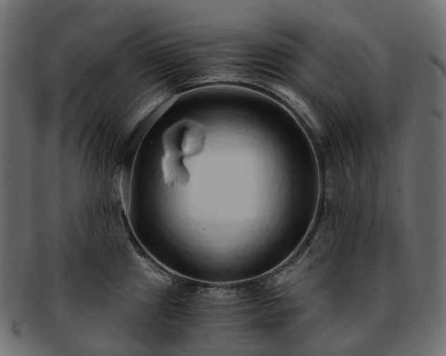 X0000093231241200710031452