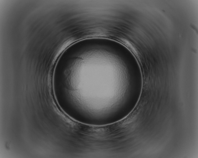 X0000093231243200710031452