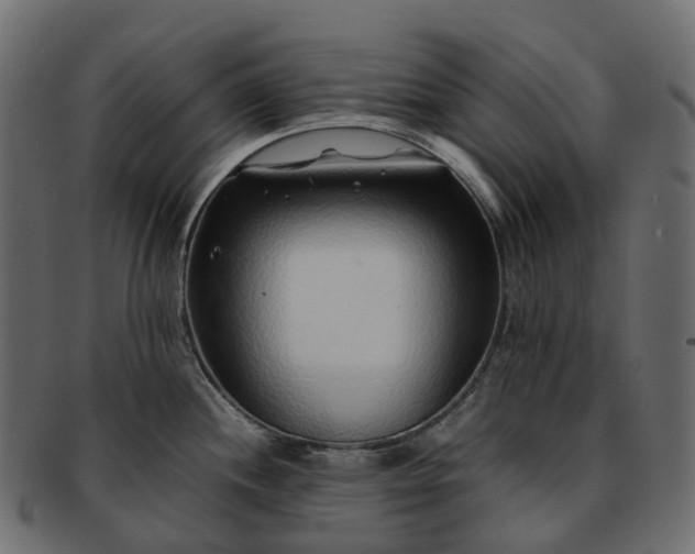 X0000093231244200710031452