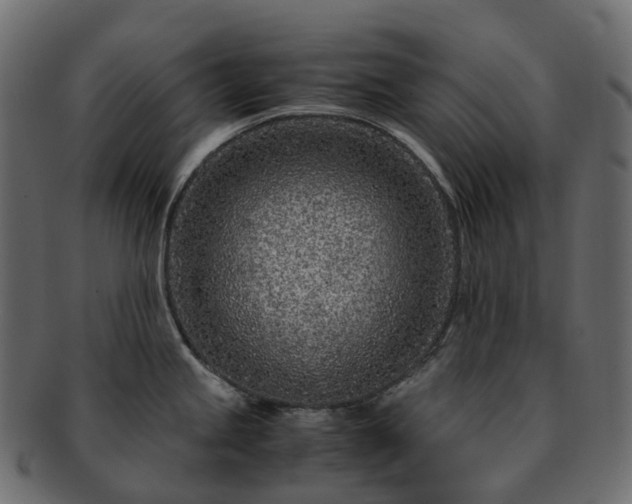 X0000093231245200710031452