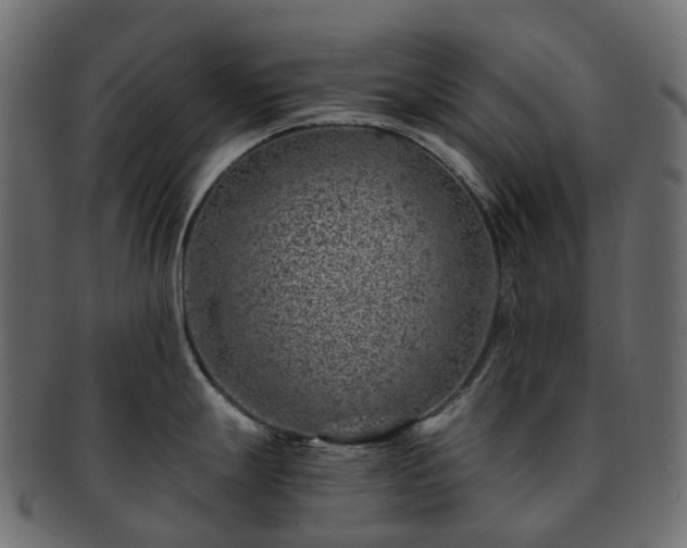 X0000093231247200710031452