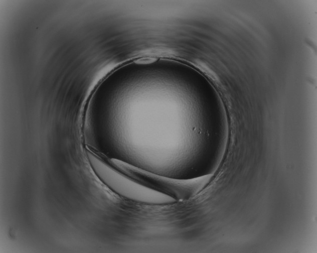 X0000093231248200710031452