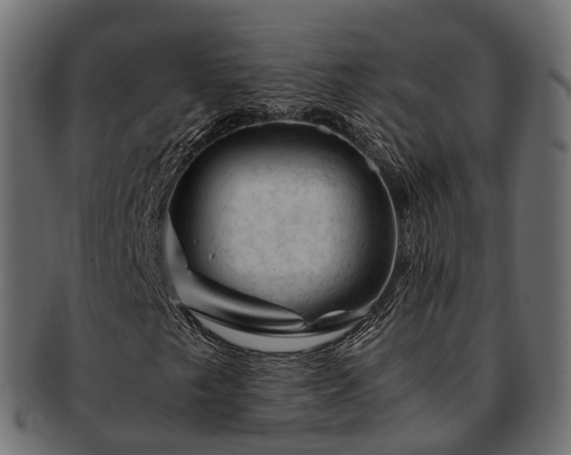 X0000093231249200710031452