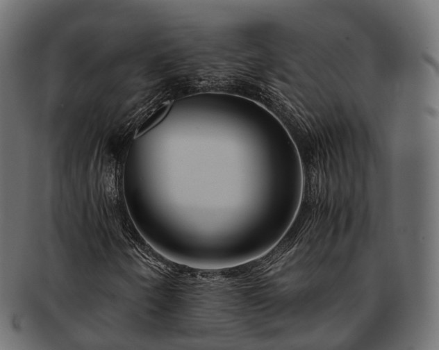 X0000093231250200710031452