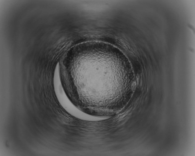 X0000093231251200710031452