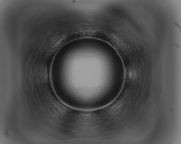 X0000093231252200710031452