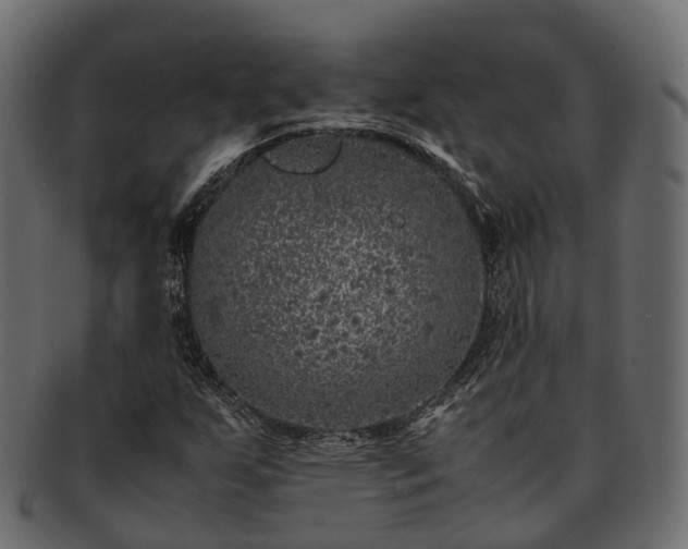 X0000093231255200710031452