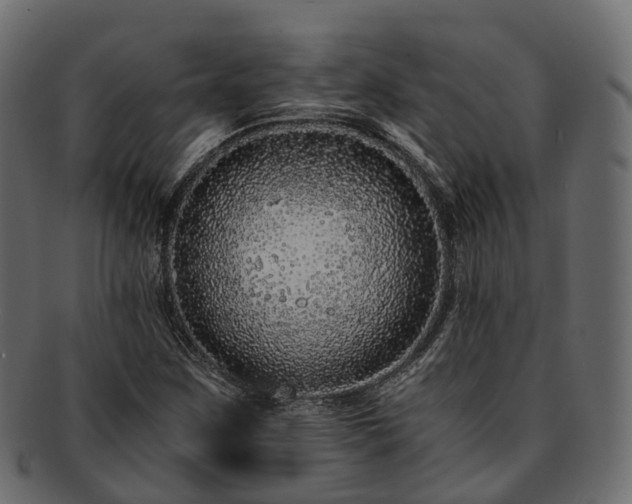 X0000093231259200710031451