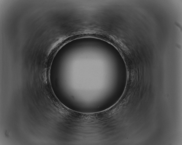 X0000093231262200710031451