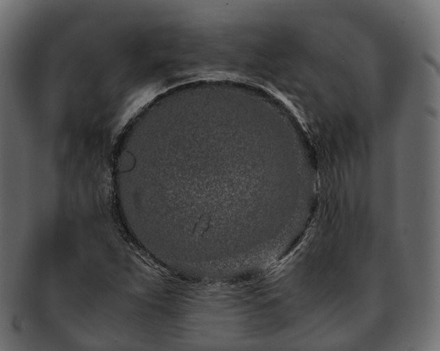 X0000093231263200710031451