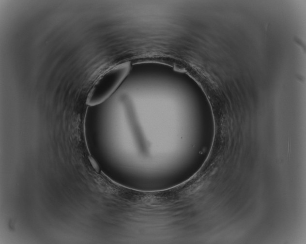 X0000093231265200710031451