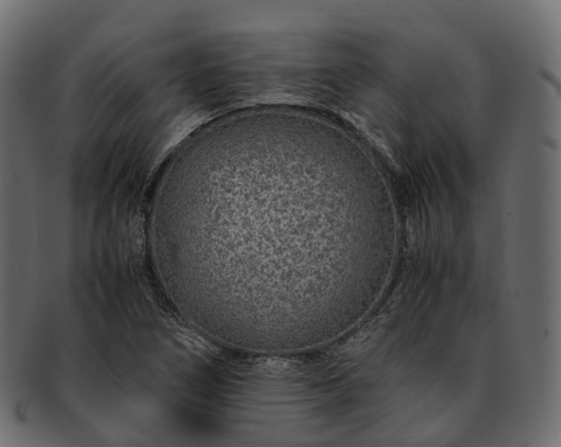 X0000093231266200710031451