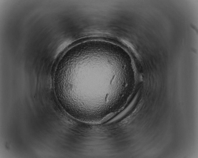 X0000093231267200710031451