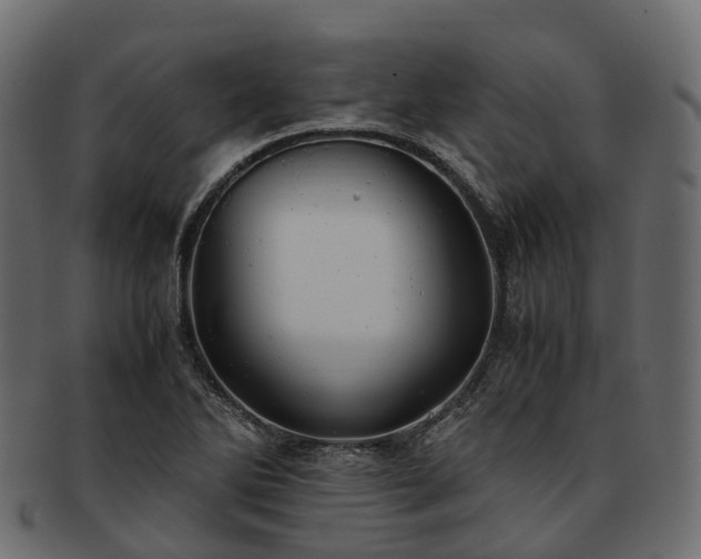 X0000093231270200710031451