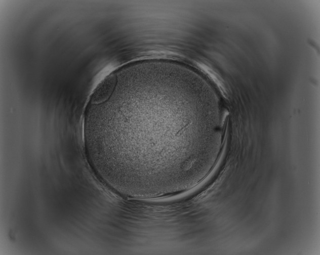 X0000093231275200710031451
