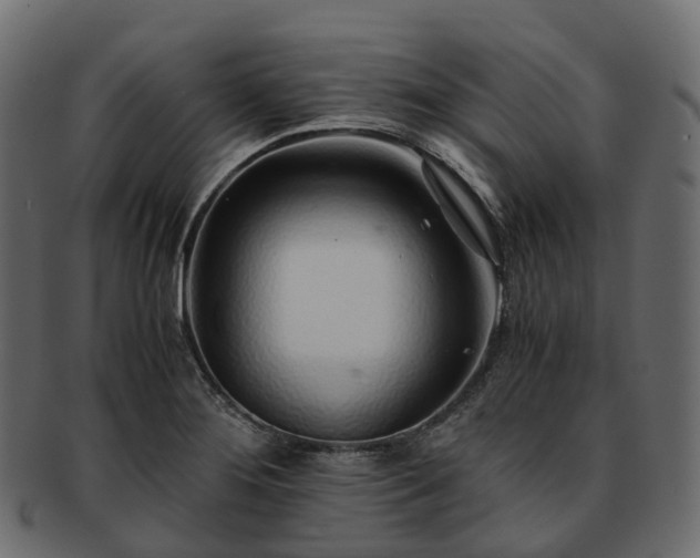 X0000093231276200710031451