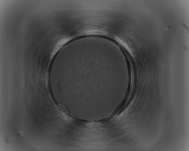 X0000093231277200710031451