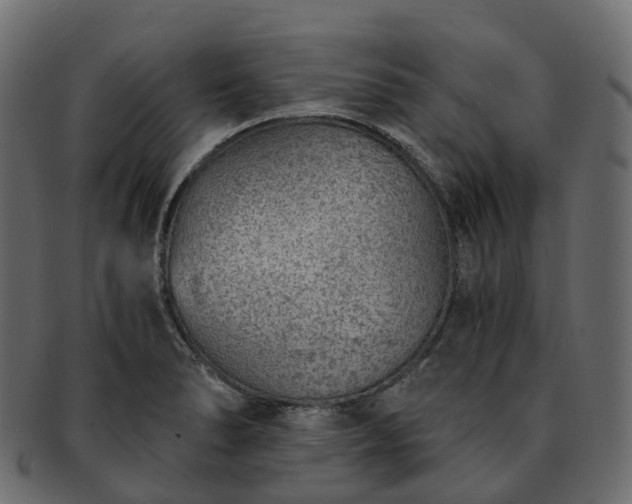 X0000093231278200710031451