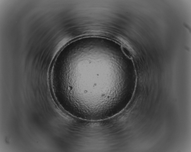 X0000093231283200710031451