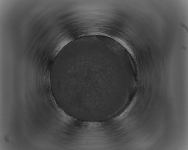 X0000093231289200710031451