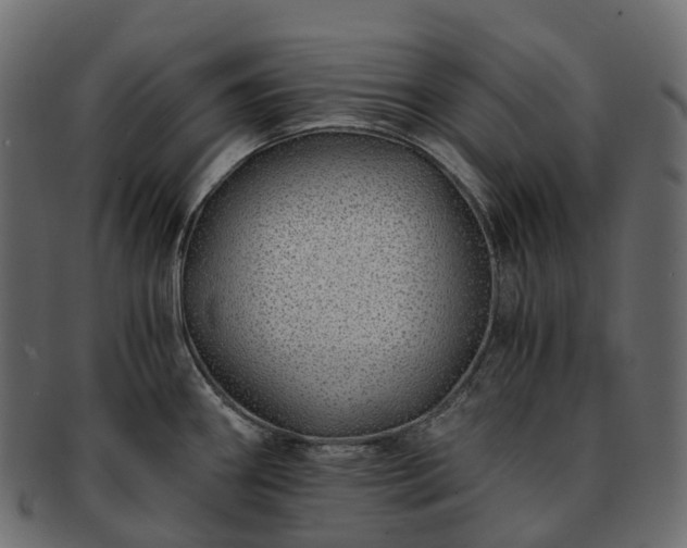 X0000093231290200710031451