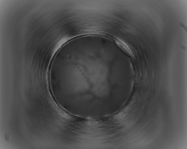 X0000093231291200710031451