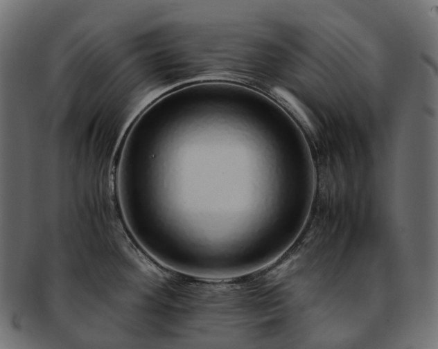 X0000093231292200710031451