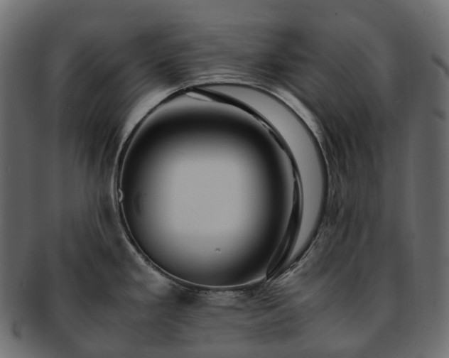 X0000093231293200710031451