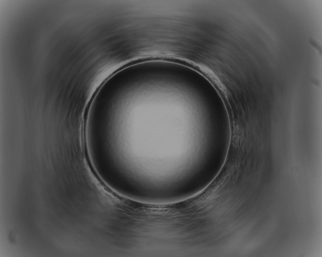 X0000093231295200710031451