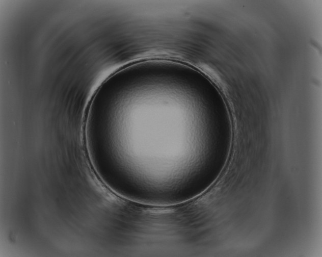 X0000093231296200710031451