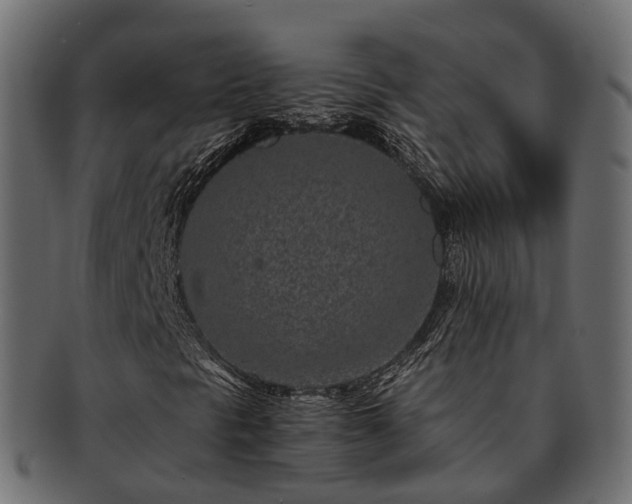 X0000093231297200710031450