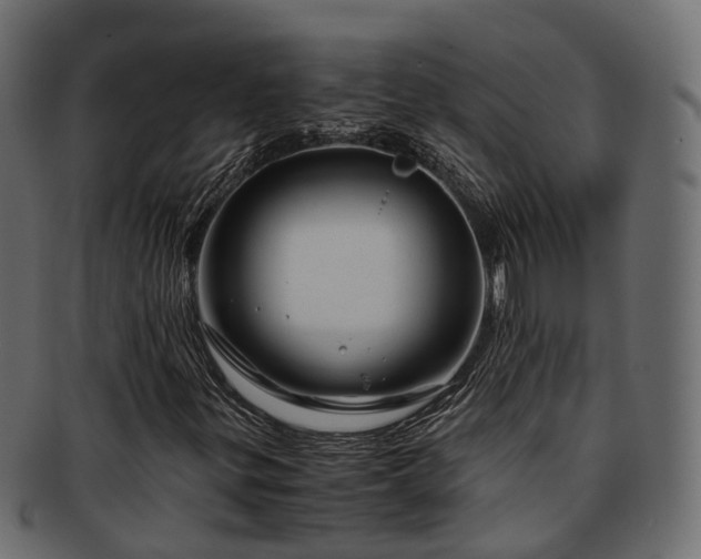 X0000093231299200710031450
