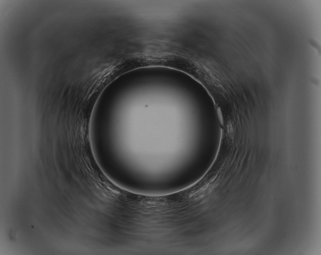 X0000093231300200710031450