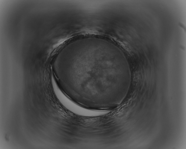 X0000093231303200710031451