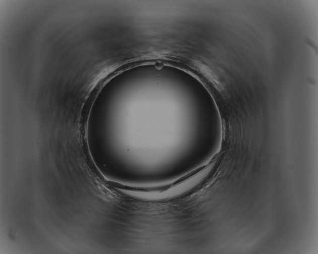 X0000093231308200710031451