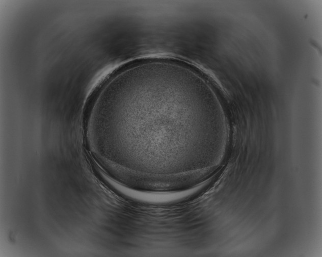 X0000093231319200710031451