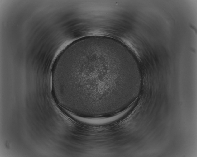 X0000093231323200710031451