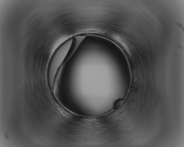 X0000093231328200710031451