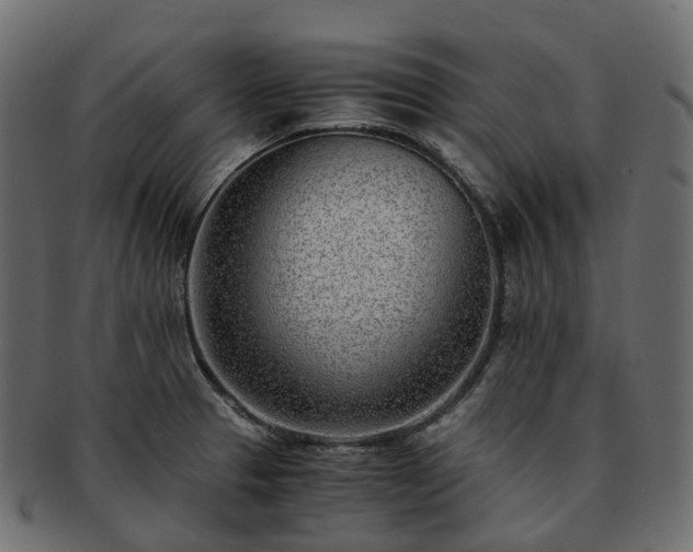 X0000093231329200710031451