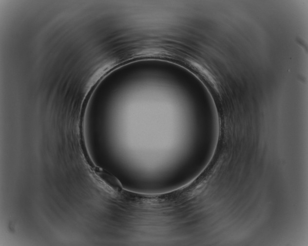 X0000093231330200710031451