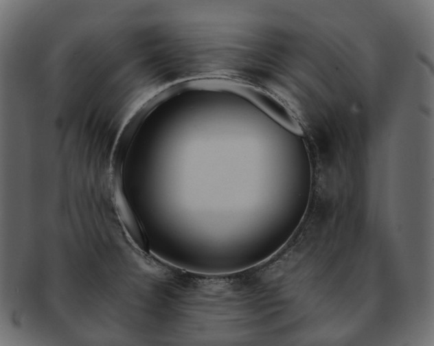 X0000093231332200710031451