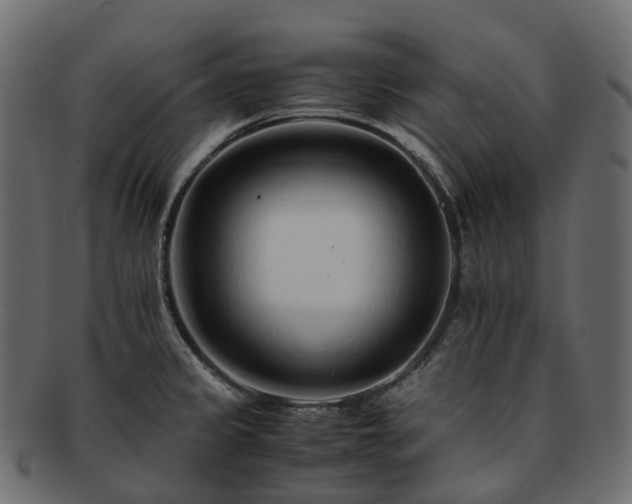 X0000093231333200710031451