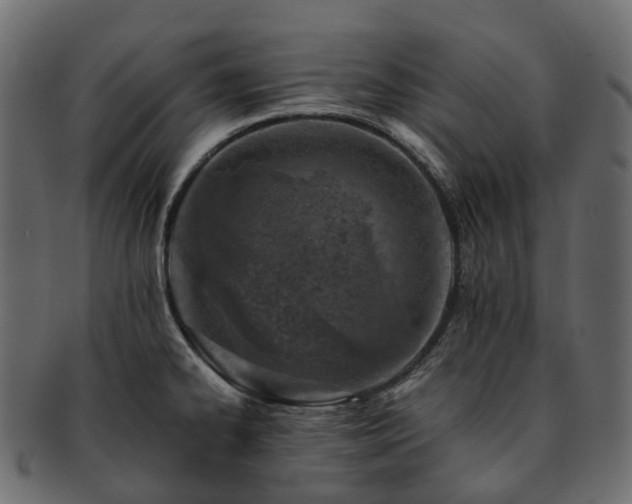 X0000093231334200710031451