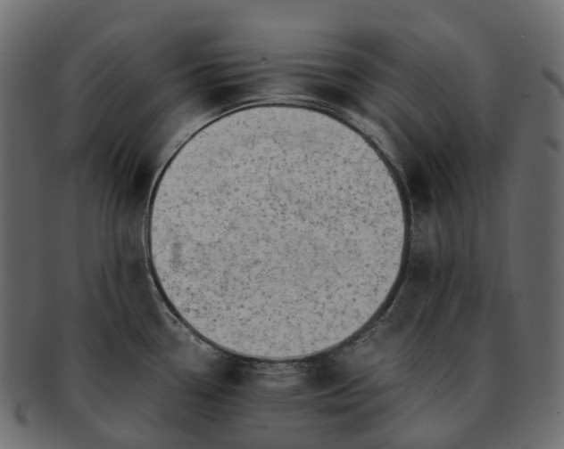 X0000093231338200710031451