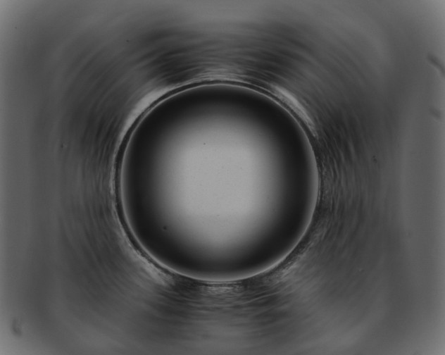 X0000093231339200710031451