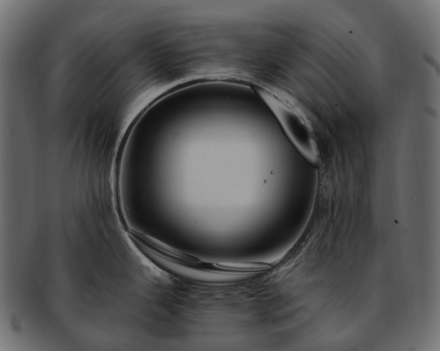 X0000093231343200710031451