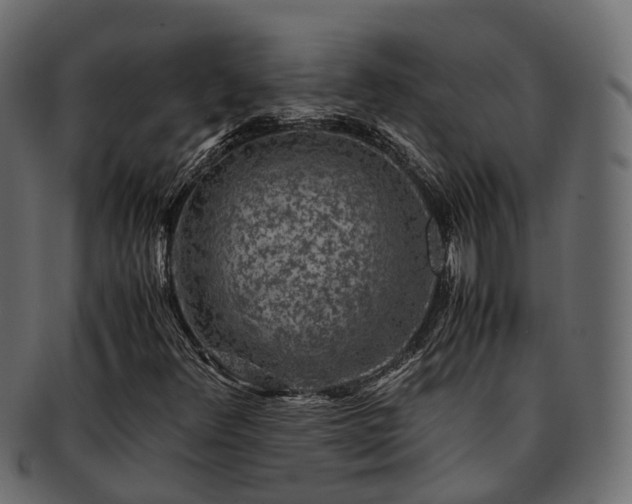 X0000093231348200710031450