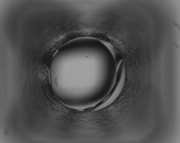 X0000093231349200710031450