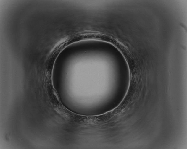 X0000093231351200710031450