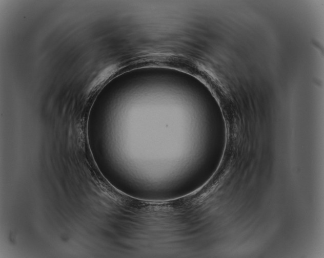 X0000093231354200710031450